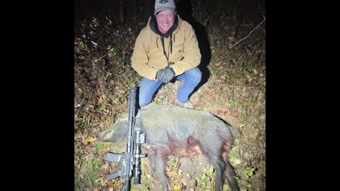 Large Boar - 7 shots in field - 28 shots total