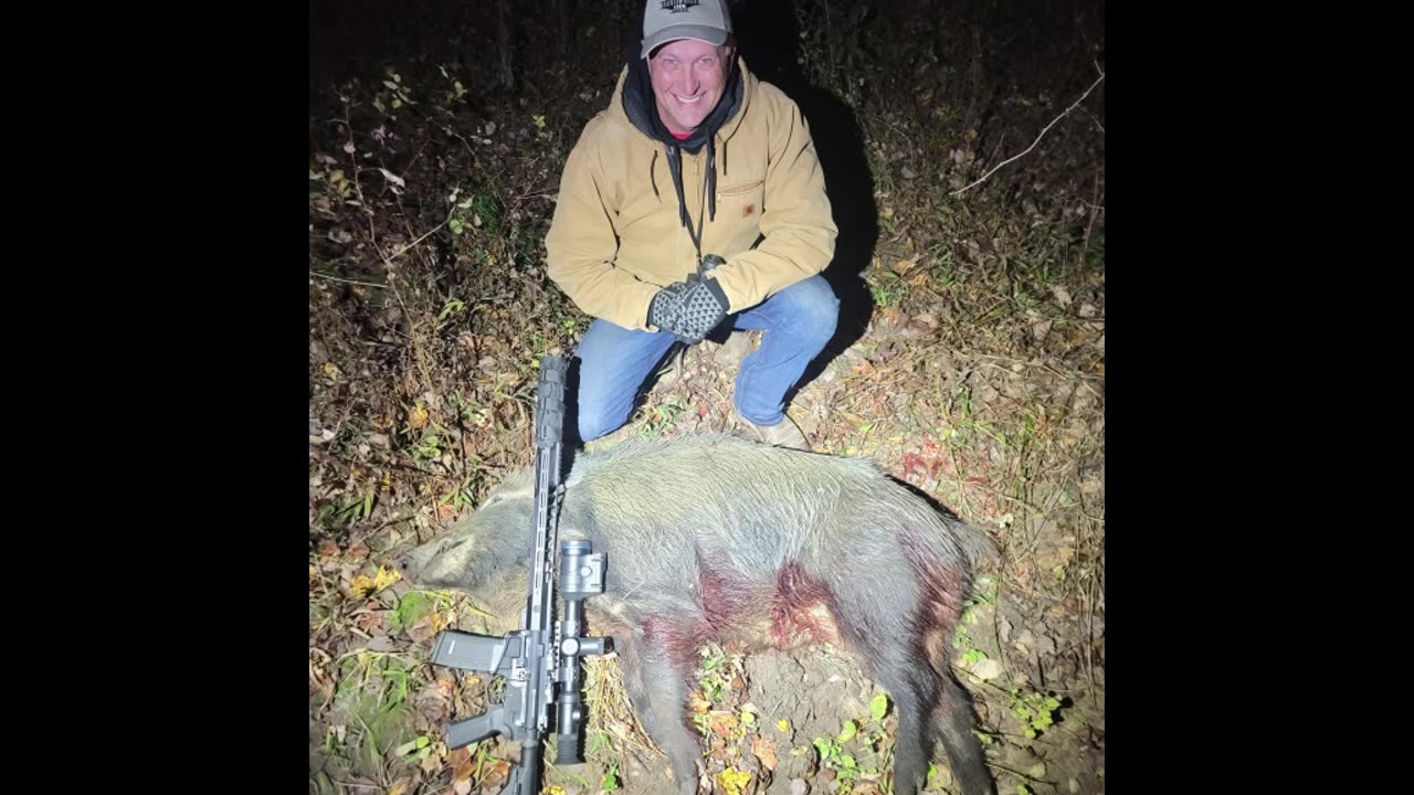 Large Boar - 7 shots in field - 28 shots total