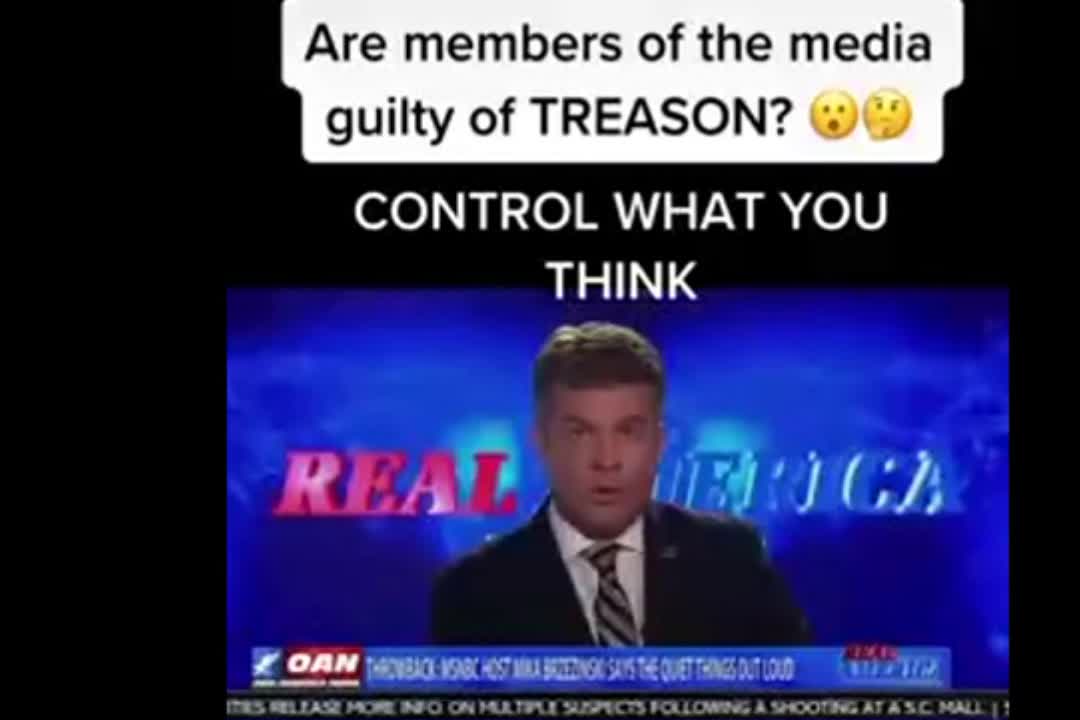 Are the members of the media guilty of treason