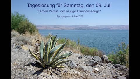 Tageslosung für Samstag, den 09. Juli