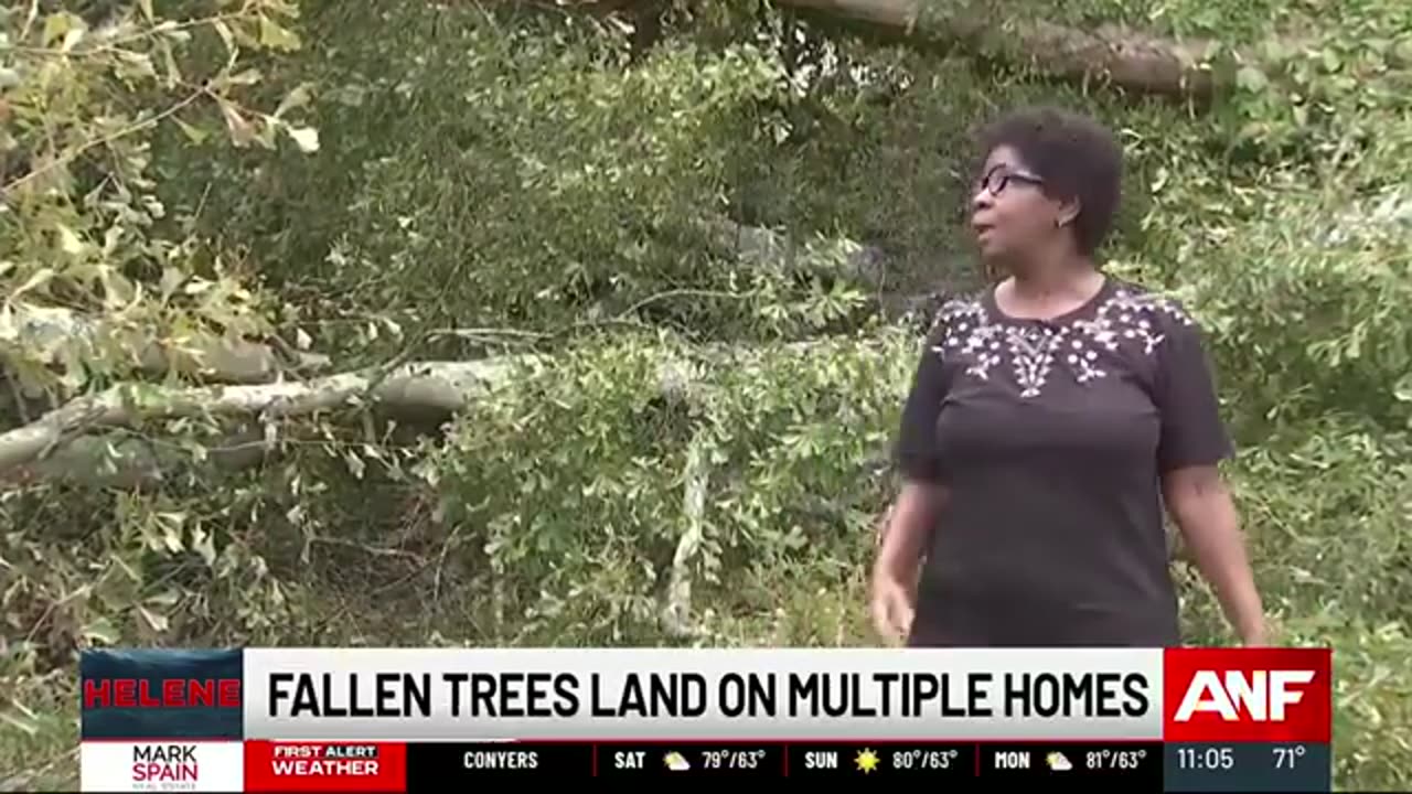 Downed trees dotted across Georgia after Hurricane Helene