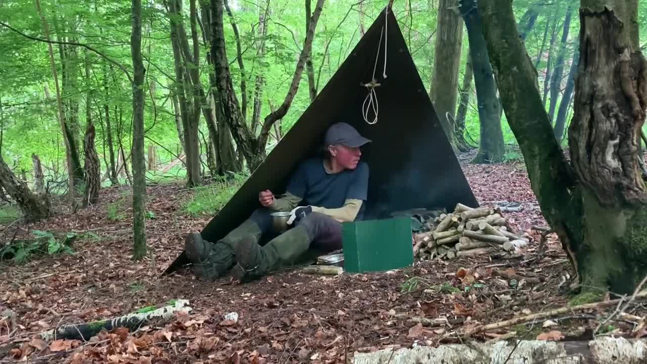 A pair of carp that came out in the morning to breathe,