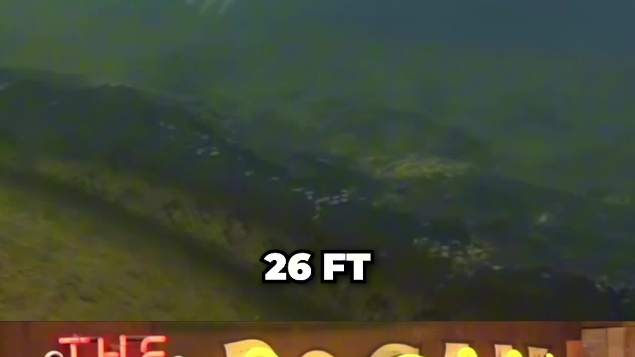 Joe Rogan Reacts To The World's Biggest Anaconda