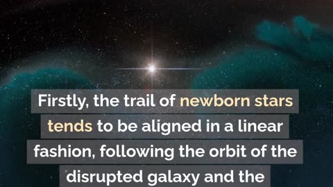 BLUE STAR DONATIONS: NEWBORN STARS