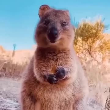 Tag the friend you want to say hello to the day 🐿