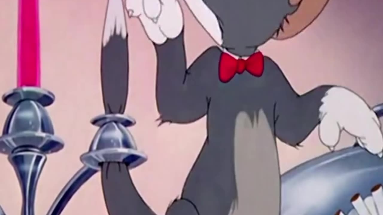 Funny videos Tom & Jerry lover 😄