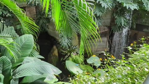 Butterfly Stroll - Hettie & Tark visit the Butterfly Conservatory, Niagara Falls.