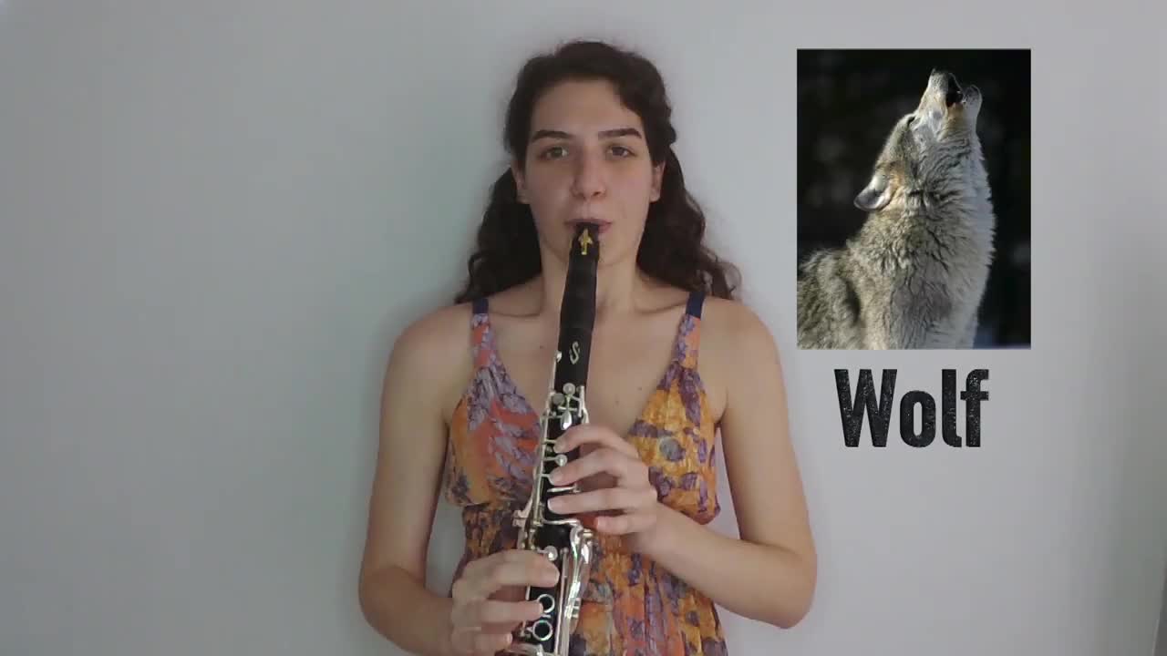 Animal sounds on clarinet