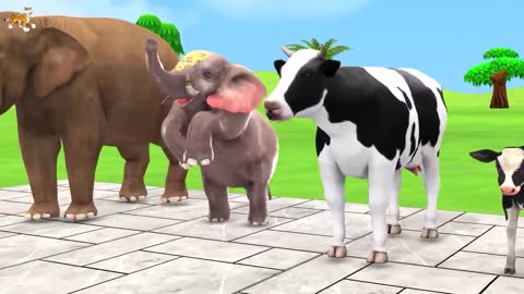 Cow Elephant Lion Gorilla Tiger T-Rex Choose the RIGHT Animal ESCAPE ROOM CHALLENGE MYSTERY BOX