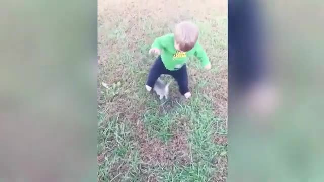 Adorable babies and funny cats video compilation - Extremely Funny