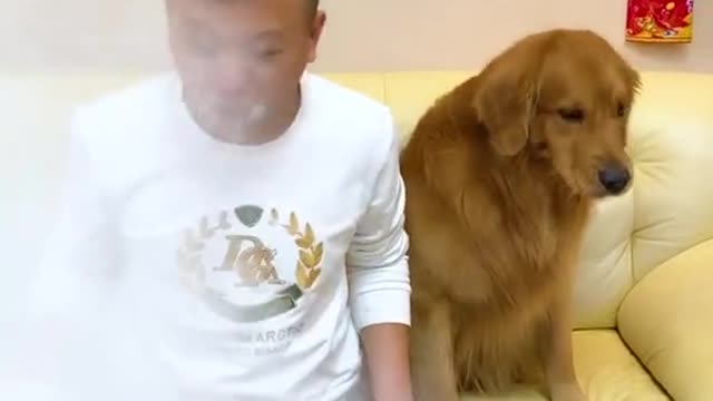 Funny dog ​​steals dad's yogurt