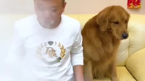 Funny dog ​​steals dad's yogurt