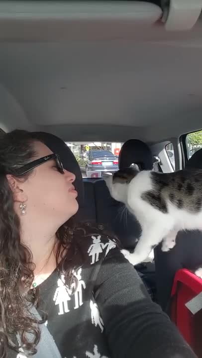 La vida de este gatito estaba sentenciada, pero fue salvado a tiempo y no para de agradecerlo