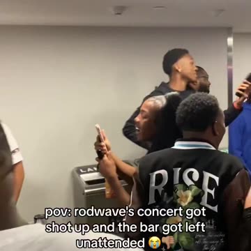 What type of culture is this?