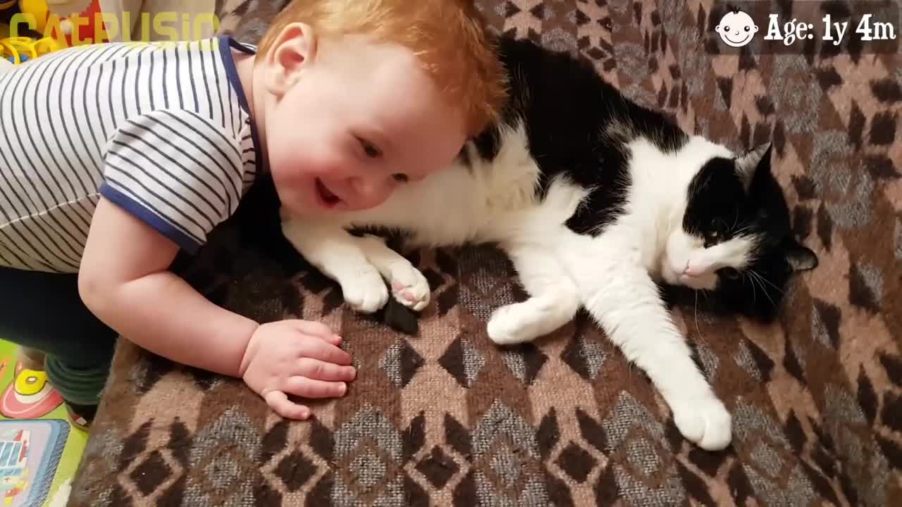 Sweet baby kissing the cat