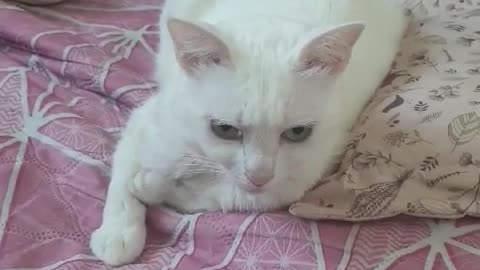 We sleep together, but we are not close