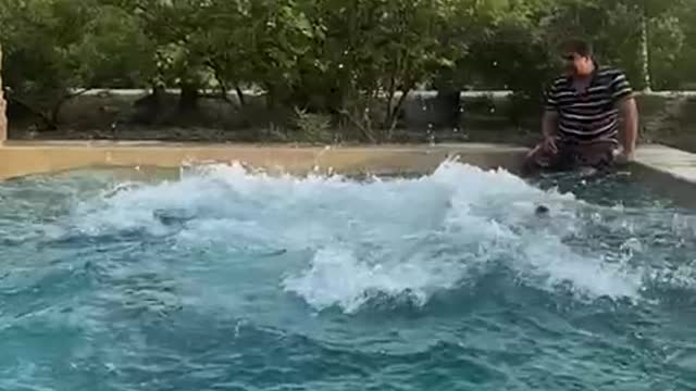 Swimming jumps