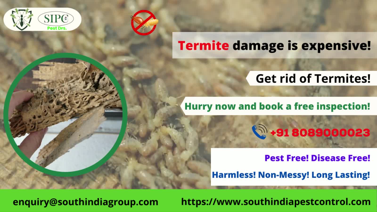 Termite Control Bangalore