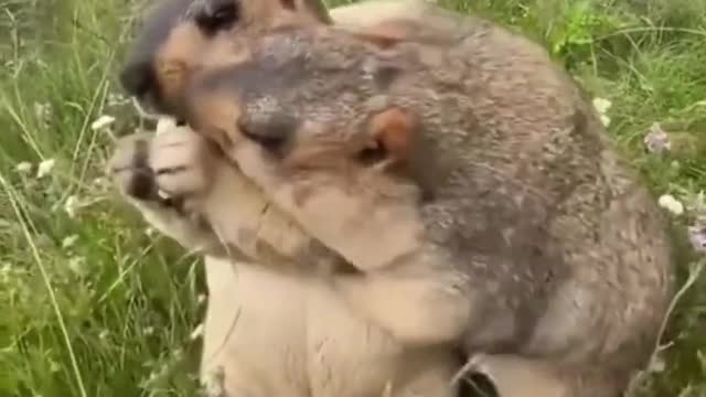 “Come on, give me some” 😂