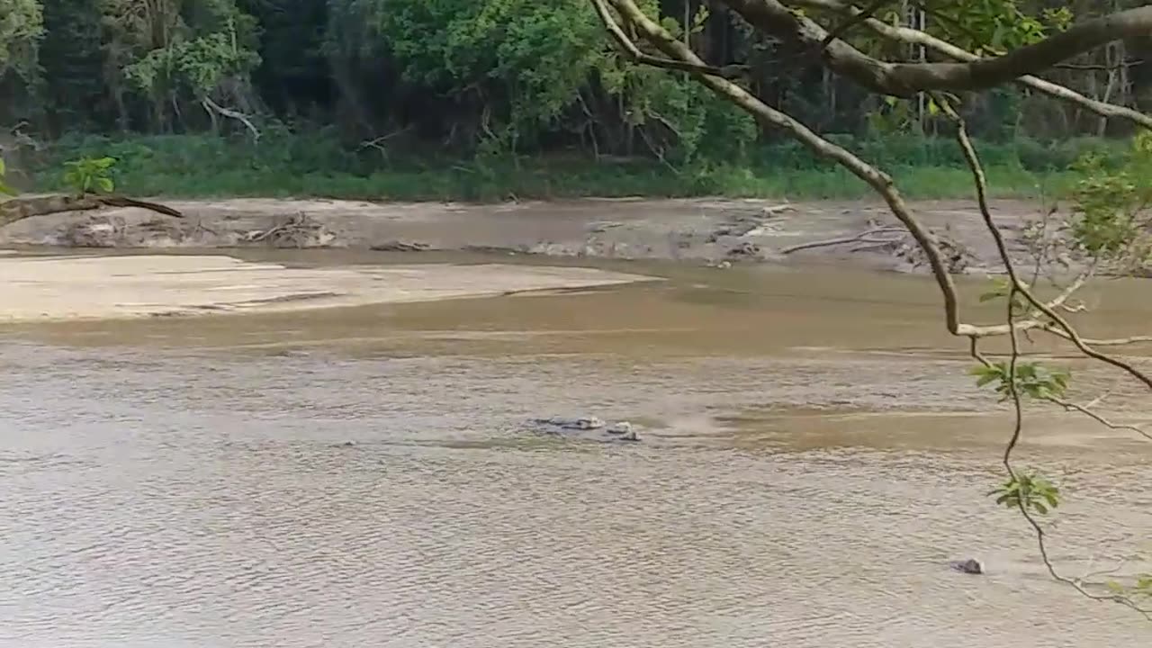 30.10.2024 The Barron River, Kuranda (5)