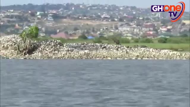 Oyster Management on the Densu river