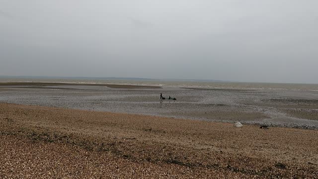 A great place to kite surf.