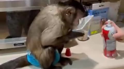 Mom fail