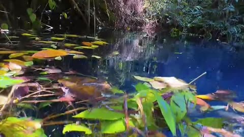 beautiful underwater