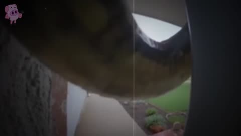 The Creepiest Doorbell Camera Videos Ever Captured