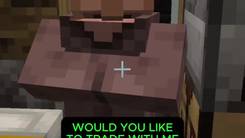 When Villager Say No A Minecraft Tragedy