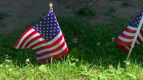 Hancock co constitution