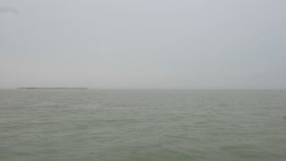 Everglades in the rain