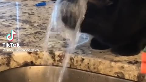 extreme thirst