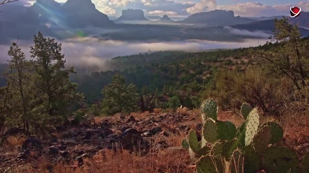 What's_Hidden_in_The_Grand_Canyon