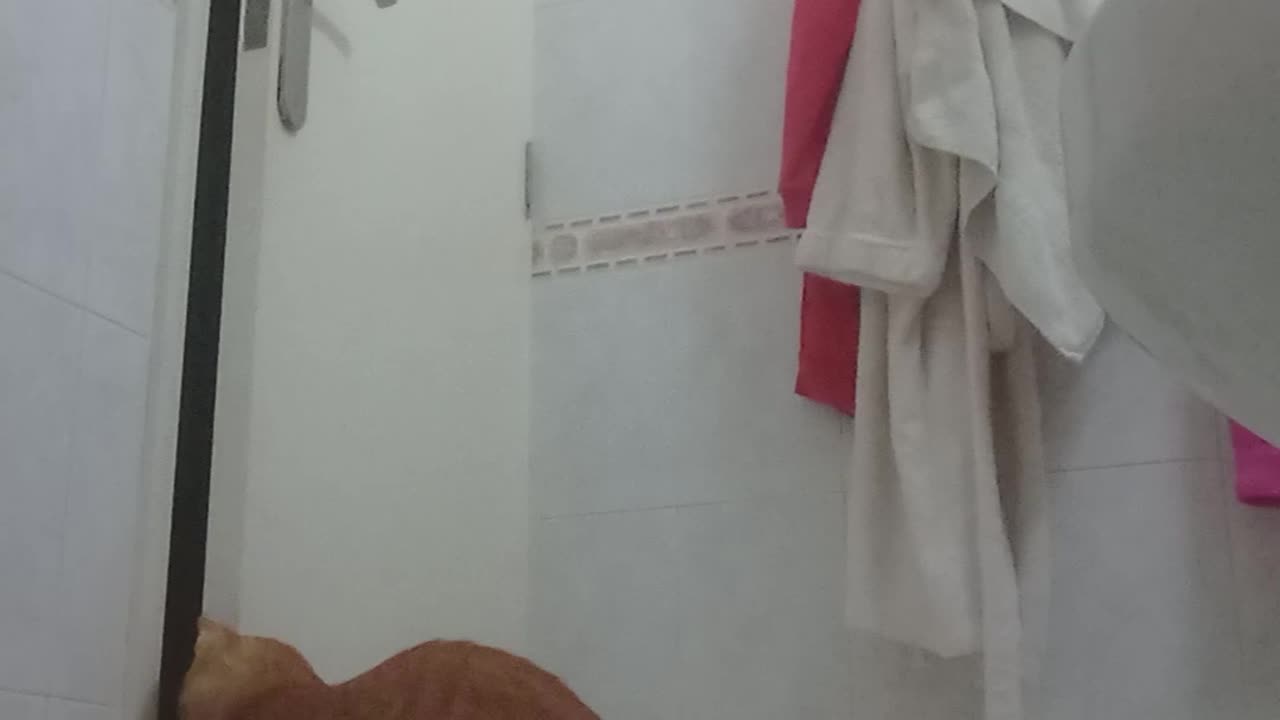 Clever Cat Opens Bathroom Door