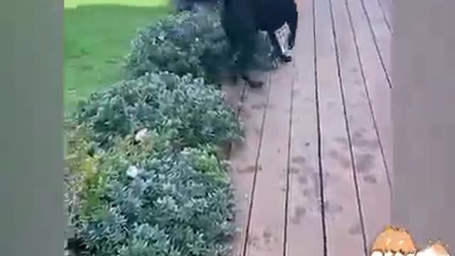 Just ride it on what makes you happy ViralSnare