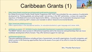 Regional and International Grants for Caribbean Business