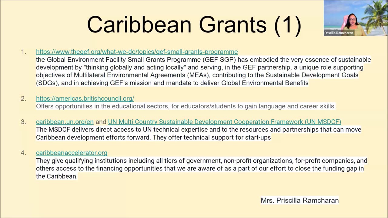 Regional and International Grants for Caribbean Business