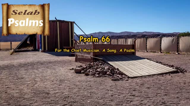 The Selah Psalms Project