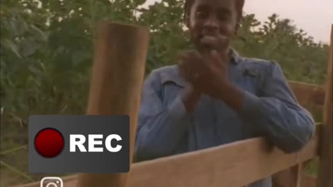 Brother purple starring Diddy