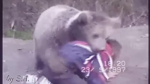 Khabib Nurmagomedov vs Bear
