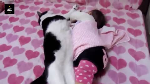 Funny Babies and Animals Video THE BEST Adorable Baby and Animals Compilation-01