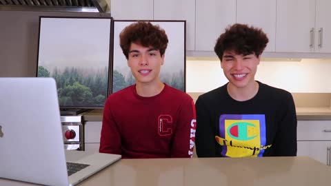 The Cutest animals on Tiktok😛😛