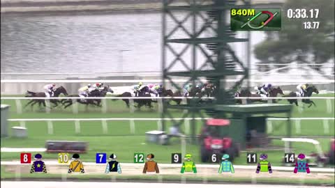 Horse_Race_2022061206_Chinese