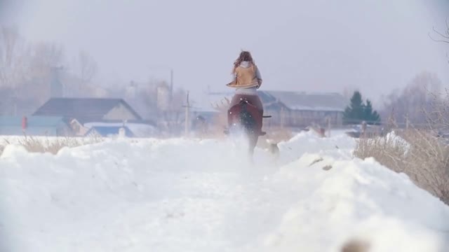 Female rider riding black horse through the snow with dog