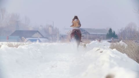 Female rider riding black horse through the snow with dog