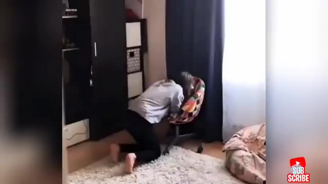 Funniest Dogs and Cats - Awesome Funny Pet Animals Videos πΆπ±