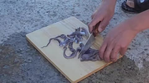 Korean food. long-legged octopus
