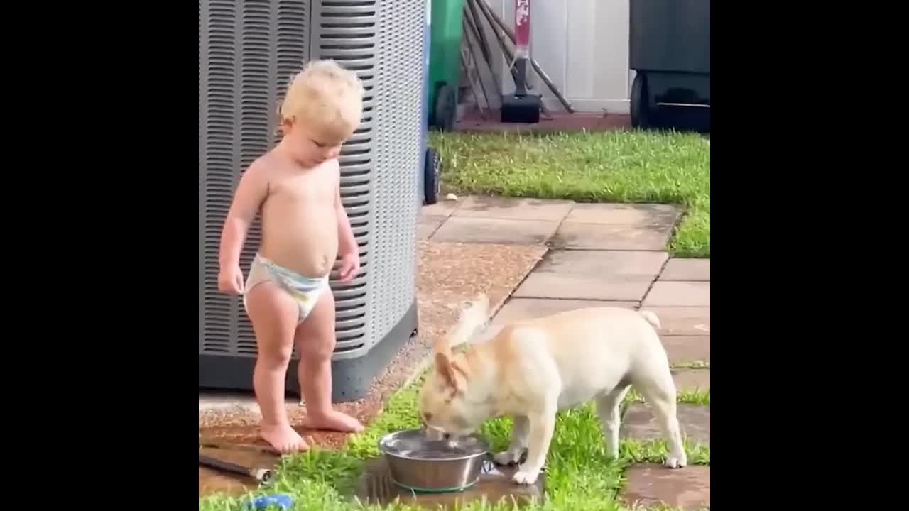 Daily life of baby and pet dog