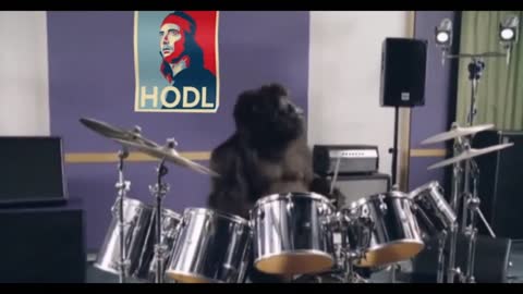 There is a Storm coming. To the Moon - Gamestop